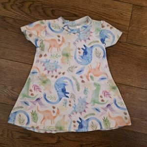 Tiny Toes Baby Co Dino Watercolor Dress